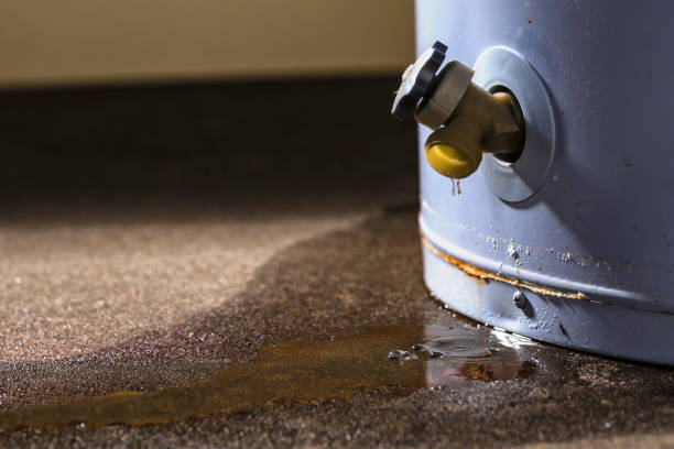  Garden Grove, CA Water damage restoration Pros