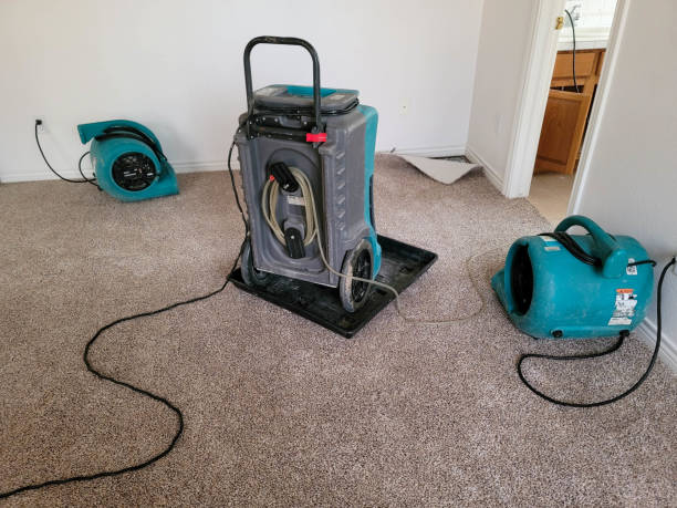 Best Emergency water damage restoration  in Garden Grove, CA