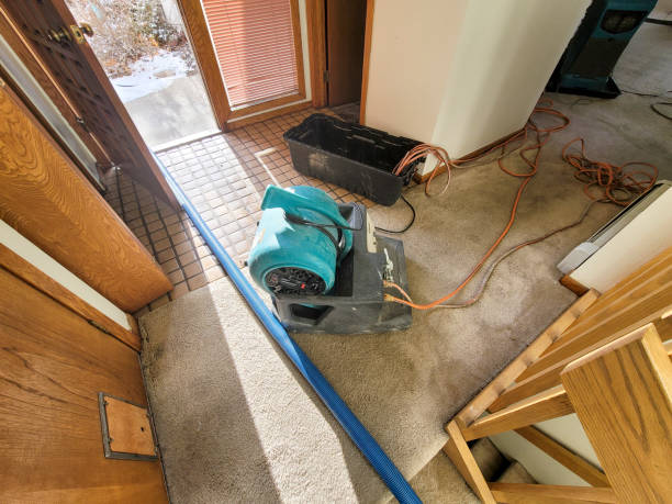 Best Mold removal after water damage  in Garden Grove, CA