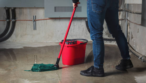 Best Fire Damage Restoration  in Garden Grove, CA