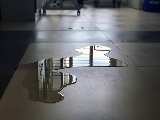 Best Professional water damage repair  in Garden Grove, CA