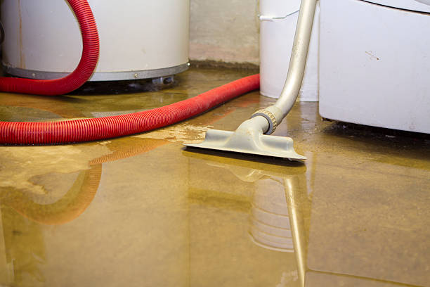 Best 24/7 water damage repair  in Garden Grove, CA