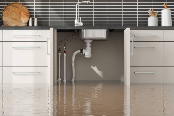 Best Water damage restoration mold remediation  in Garden Grove, CA