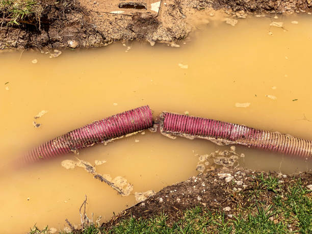 Reliable Garden Grove, CA Water damage restoration Solutions