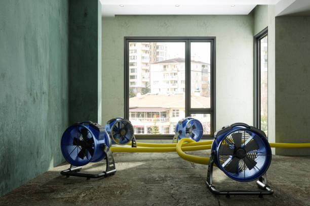 Best Ceiling water damage repair  in Garden Grove, CA